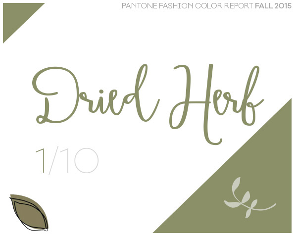 dried-herb-pantone-abertura-1